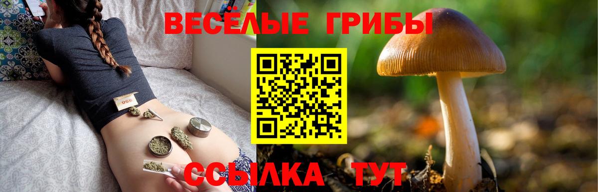 Галлюциногенные грибы ЛСД Солнечногорск